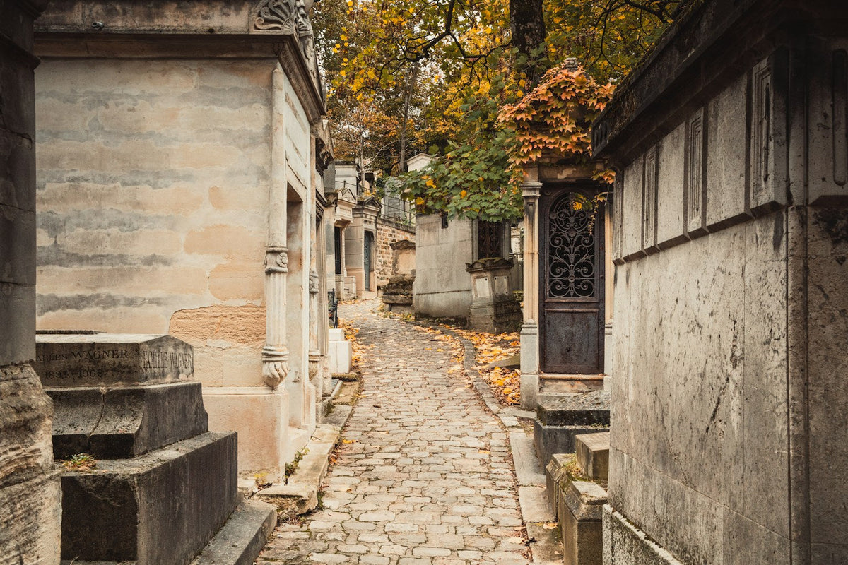 A cobblestone street in Paris during autumn, lined with old buildings and warm foliage